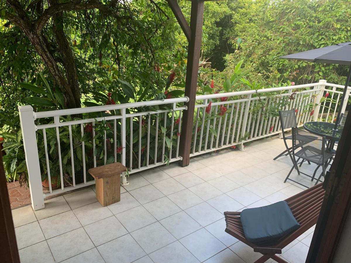 Logement Vacances Gissac Sainte-Anne Exterior foto
